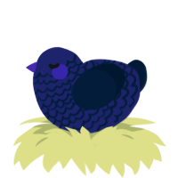 you, a navy and tumblr chicken with a lace pattern