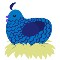 A sapphire and navy chicken with a lace pattern