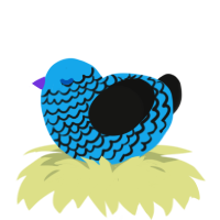 A sky and black chicken with a lace pattern