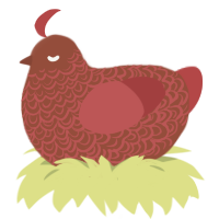 Rus red rus, a russet and red chicken with a double-lace pattern