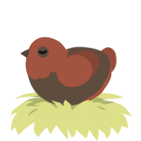 (unnamed), a bark and russet chicken with a head pattern