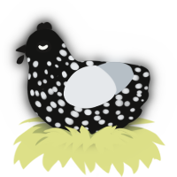 Eclipse, a black and mist chicken with a speckle pattern