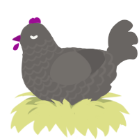 Gr gr plu, a grey chicken with a lace pattern