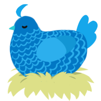 (unnamed), a sapphire and sky chicken with a lace pattern