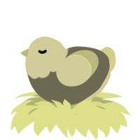 Chip, a ash and white chicken with a head pattern
