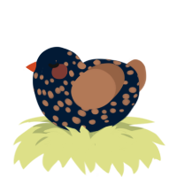 (unnamed), a tumblr and brown chicken with a speckle pattern