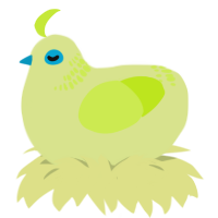 A lemon and lime chicken with a neck-band pattern