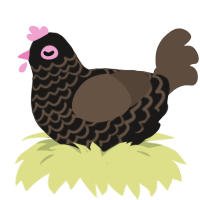 A sable and bark chicken with a lace pattern