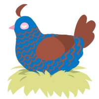 lapis, a sapphire and russet chicken with a lace pattern