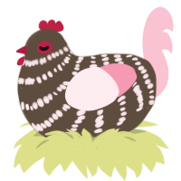Chaene, a bark and rose chicken with a bar pattern