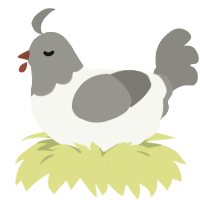 pigeon jr, a white and ash chicken with a head pattern
