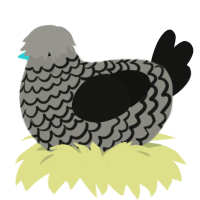A ash and black chicken with a lace pattern