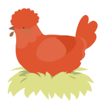 verm xxx, a vermilion chicken with a head pattern