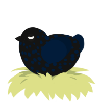 (unnamed), a black and tumblr chicken with a speckle pattern