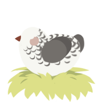 (unnamed), a white and grey chicken with a half-lace pattern