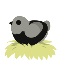 bugly, a black and ash chicken with a head pattern