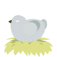 Silver, a mist and silver chicken with a double-lace pattern