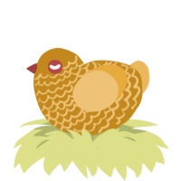(unnamed), a ochre and honey chicken with a lace pattern