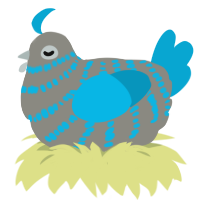 A ash and cerulean chicken with a bar pattern