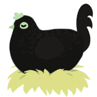 wheres my lace, a black and sable chicken with a half-lace pattern