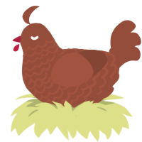 (unnamed), a russet chicken with a lace pattern