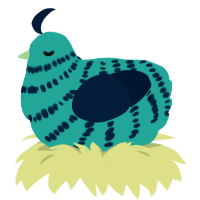 sea bean, a turquoise and tumblr chicken with a bar pattern