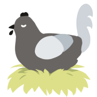 A grey and mist chicken