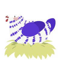 Grape Fizz, a white and indigo chicken with a bar pattern