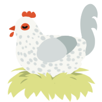 hennifer, a white and silver chicken with a speckle pattern