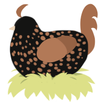 Feral, a black and brown chicken with a speckle pattern