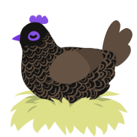 Evanescence, a black and bark chicken with a double-lace pattern