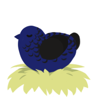 GetInto Hypnosis Mic, a navy and sable chicken with a half-lace pattern