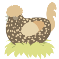 A grey and beige chicken with a speckle pattern
