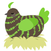 A bark and grass chicken with a bar pattern