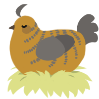(unnamed), a gold and grey chicken with a half-bar pattern