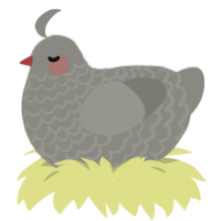 Bloodstained Stone, a ash chicken with a lace pattern