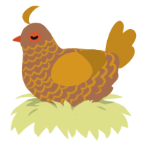 A brown and ochre chicken with a lace pattern