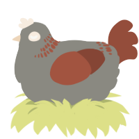 A ash and russet chicken with a neck-band pattern