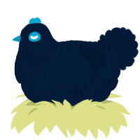 Wade, a tumblr chicken with a lace pattern