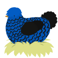 A ultramarine and black chicken with a lace pattern