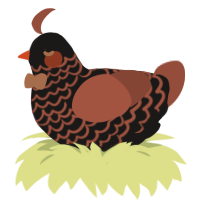Razeirl, a sable and russet chicken with a lace pattern