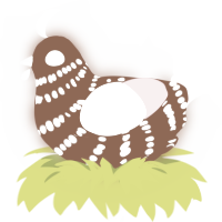 A russet and rose chicken with a bar pattern