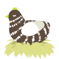 Hershey, a bark and white chicken with a bar pattern