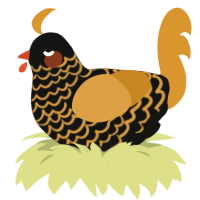 A black and orange chicken with a lace pattern