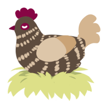 A bark and beige chicken with a bar pattern