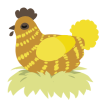 adam, a gold and yellow chicken with a bar pattern
