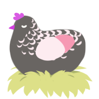 evil pigeon, a grey and rose chicken with a half-lace pattern