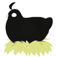 Louie, a black chicken