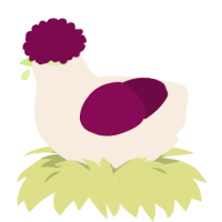 A cream and wine chicken