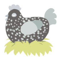 Stone, a grey and silver chicken with a speckle pattern